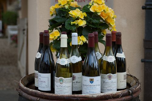 The Wines of Aloxe-Corton