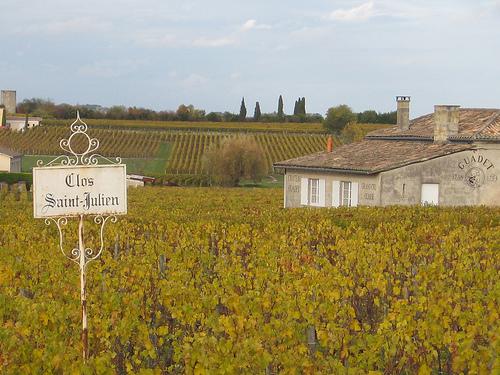 Saint-Emilion: château and vineyard