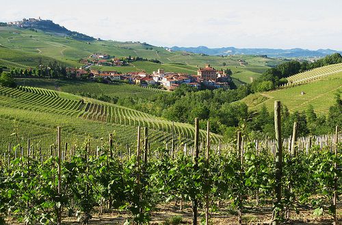 TorreBarolo - Surrounded by vineyards 2