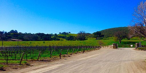 Sunstone-Vineyards-in-Santa-Ynez-Valley-Winetour-Visit-American-Luxury-Limousine-2015