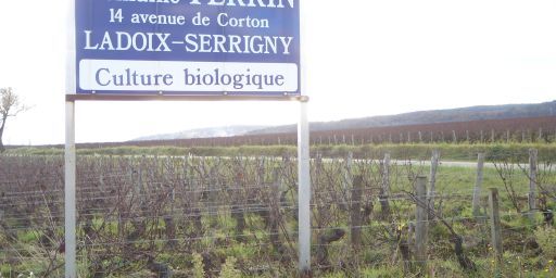 Domaine Perrin vineyard Ladoix-Serrigny.jpg