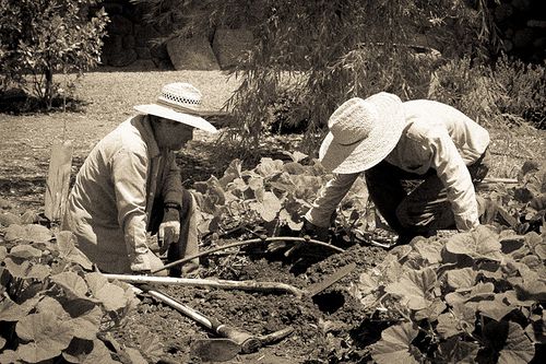 Gardeners - Raymond Vineyards, Saint Helena