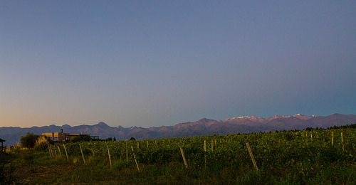 Uco Valley Vineyards