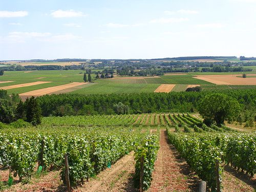 View from Cravant-les-Coteaux
