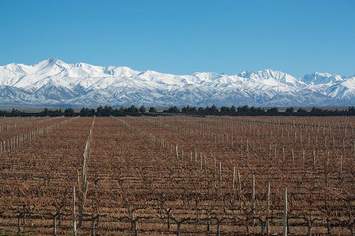 Andes and vineyards in the Uco Valley, Argentina