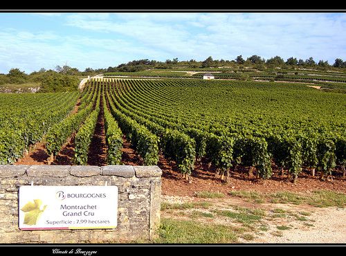 "Les Climats du Vignoble de Bourgogne" - UNESCO World Heritage