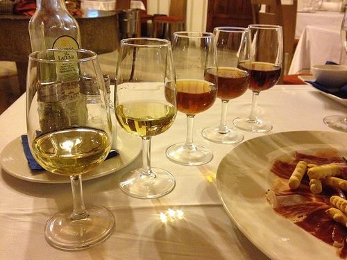 Degustation of Spanish sherry
