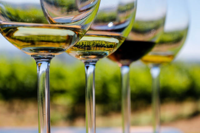 Vineyard in a glass