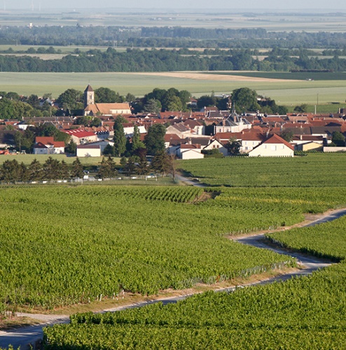 dethune-vineyards
