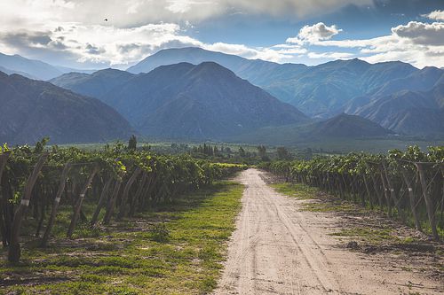 'Vino Country', Argentina, Salta Province, Cafayate