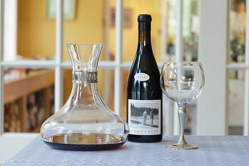 In Vino Veritas Decanter by Match Pewter