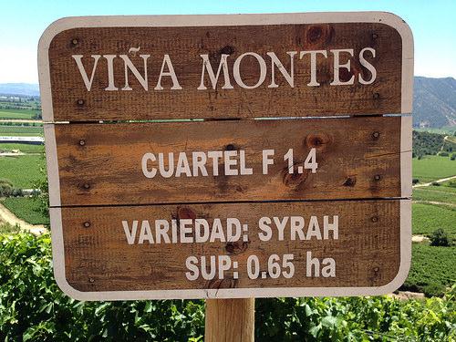 Montes winery