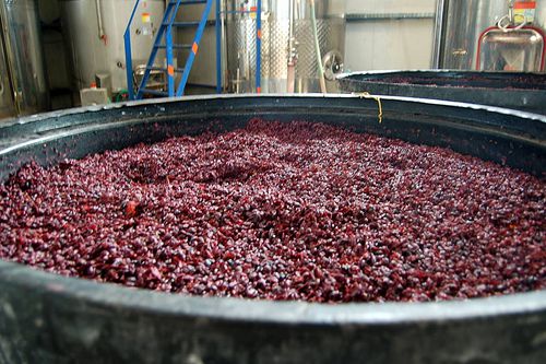 Red Wine Fermenting