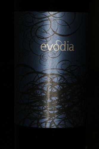 Evodia 2008 Old vine Grenache Spain