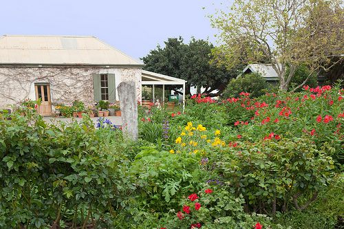 Cottage garden, Coriole Vineyard, McLaren Vale South Australia