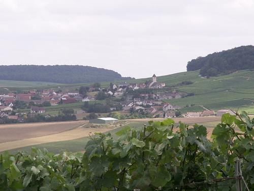 View on a Champagne village