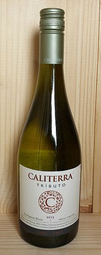 Caliterra Tributo Single Vineyard Sauvignon Blanc, Do Valle de Leyda at Fareham Wine Cellar