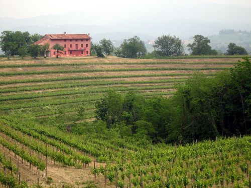 Friuli 019 Cantine Aperte - Rocca Bernarda
