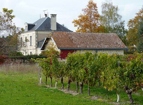 Loire Valley - Bourgeuil