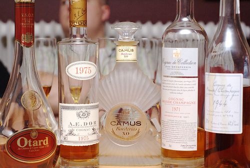 Cognac-tasting line-up