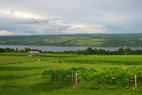 Seneca Lake Wine Country