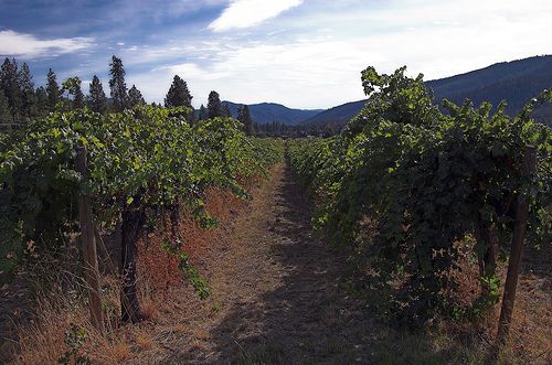Rogue Valley, Oregon