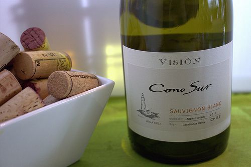 Wines of Chile Cono Sur SB