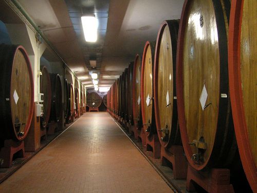 wine vats at winery alghero