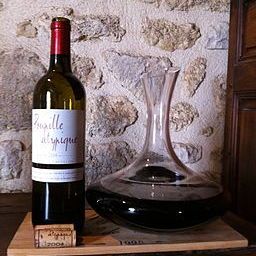 Cotes de Bordeaux Castillon Wine in decanter