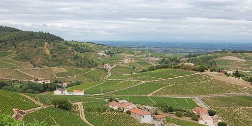 View from Chiroubles Cru Beaujolais