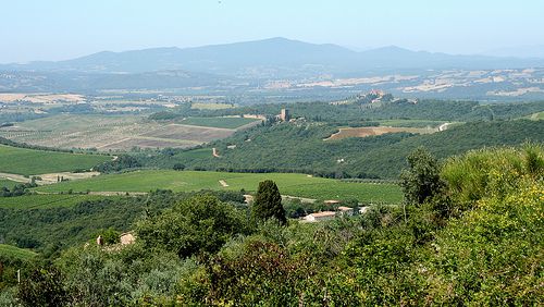 Brunello di Montalcino, Tuscany, Italy