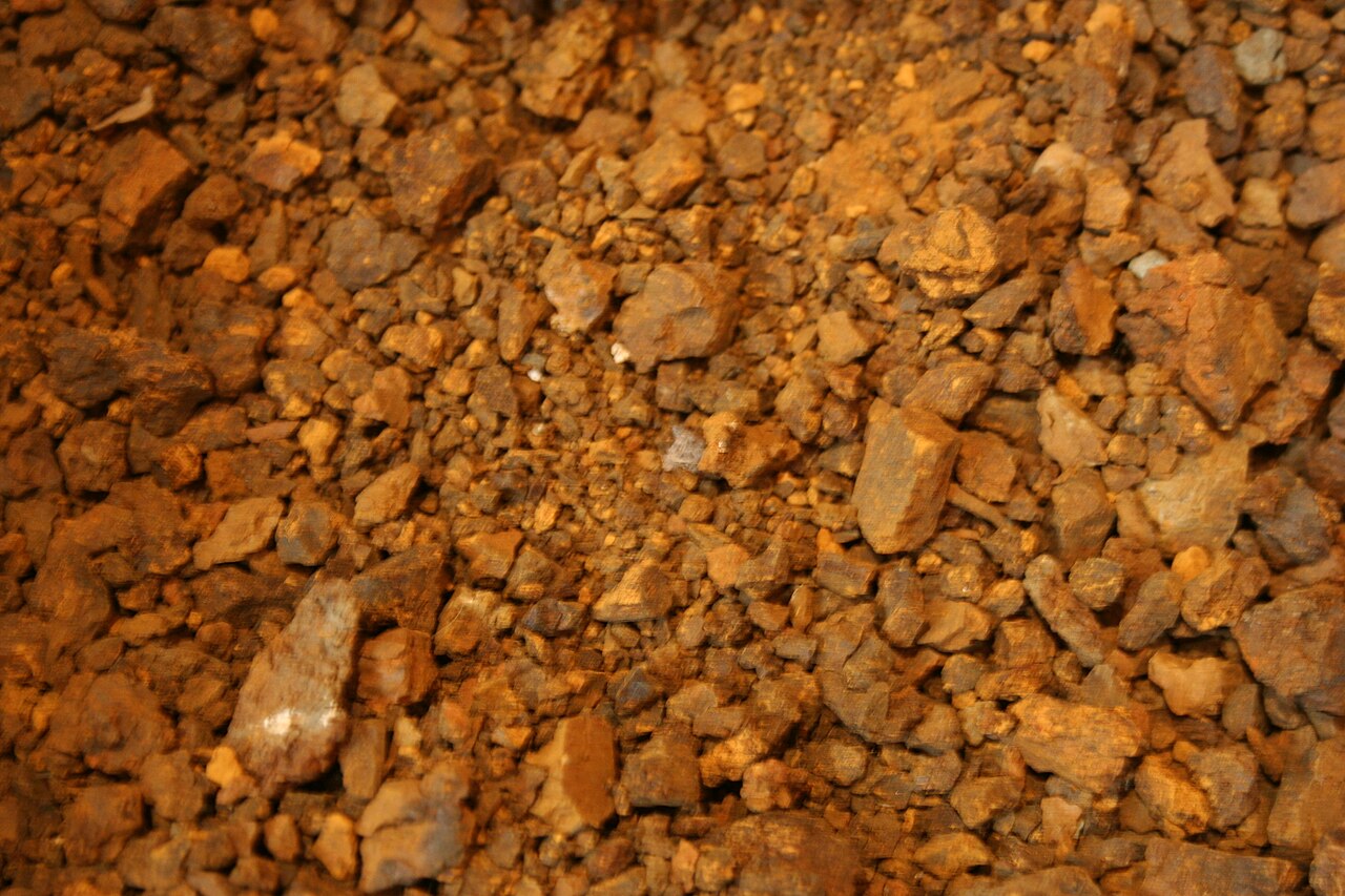 シャトー・ディケムのブドウ畑で土壌の層を観察する見学者