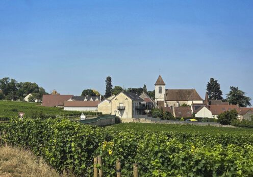 モレ・サン・ドニの教会と村の建物、夏のブドウ畑