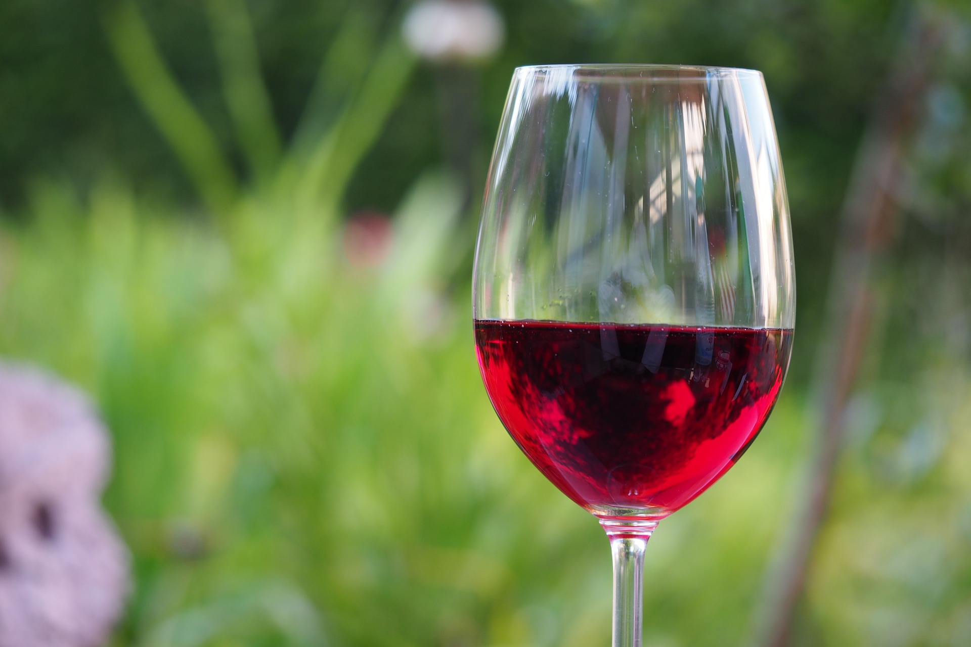 Wine Bazaar