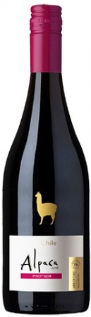 Wine Bazaar
