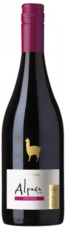 Wine Bazaar