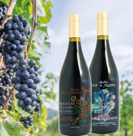 Wine Bazaar