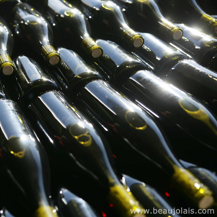 Wine Bazaar