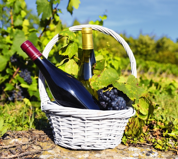 Wine Bazaar