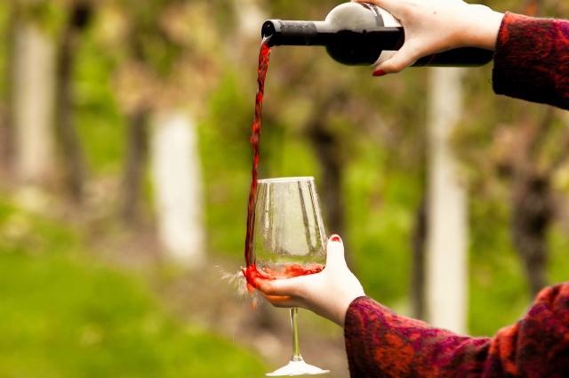 Wine Bazaar