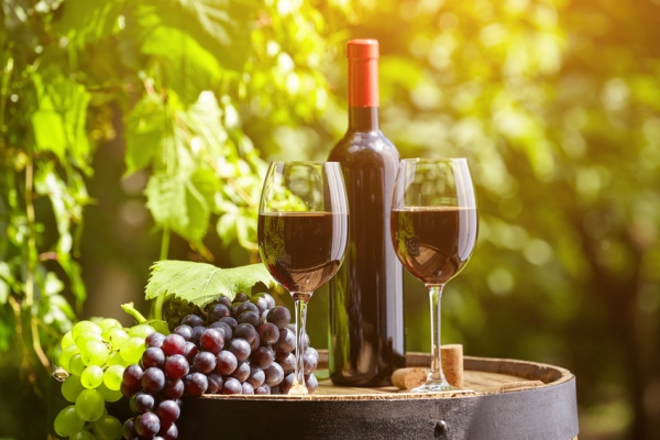 Wine Bazaar