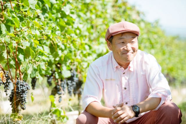 Wine Bazaar