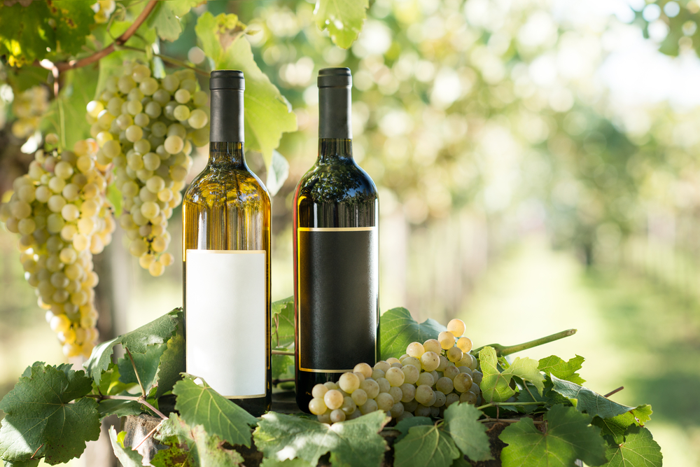 Wine Bazaar
