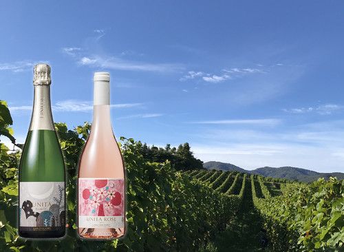 Wine Bazaar