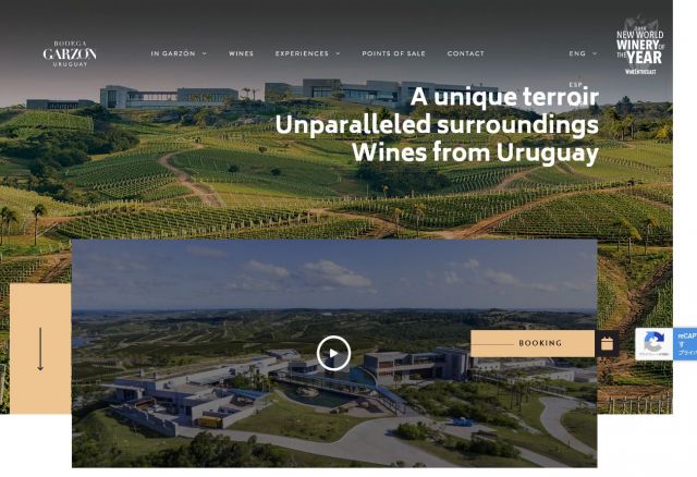 Wine Bazaar