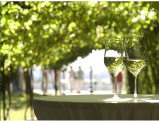 Wine Bazaar