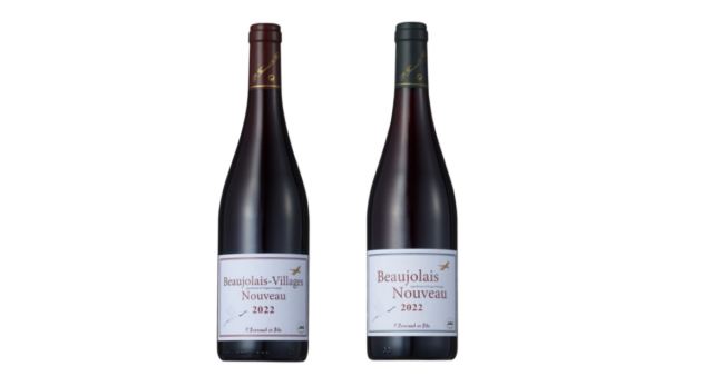 Wine Bazaar