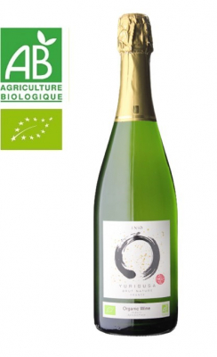 Wine Bazaar