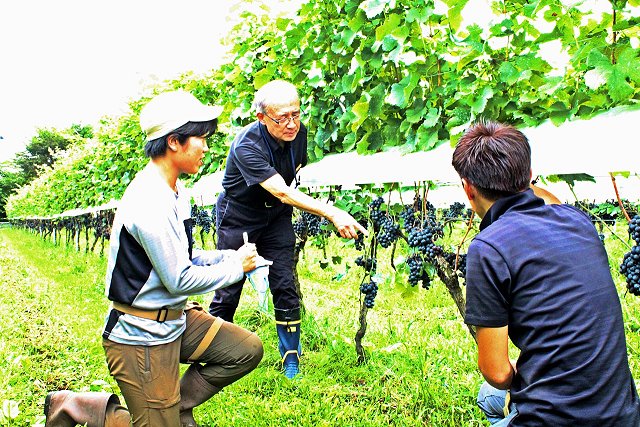 Wine Bazaar