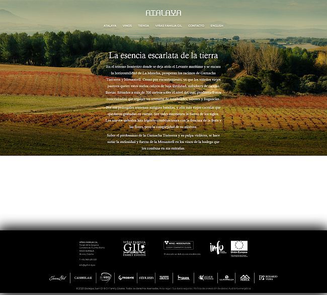 Wine Bazaar